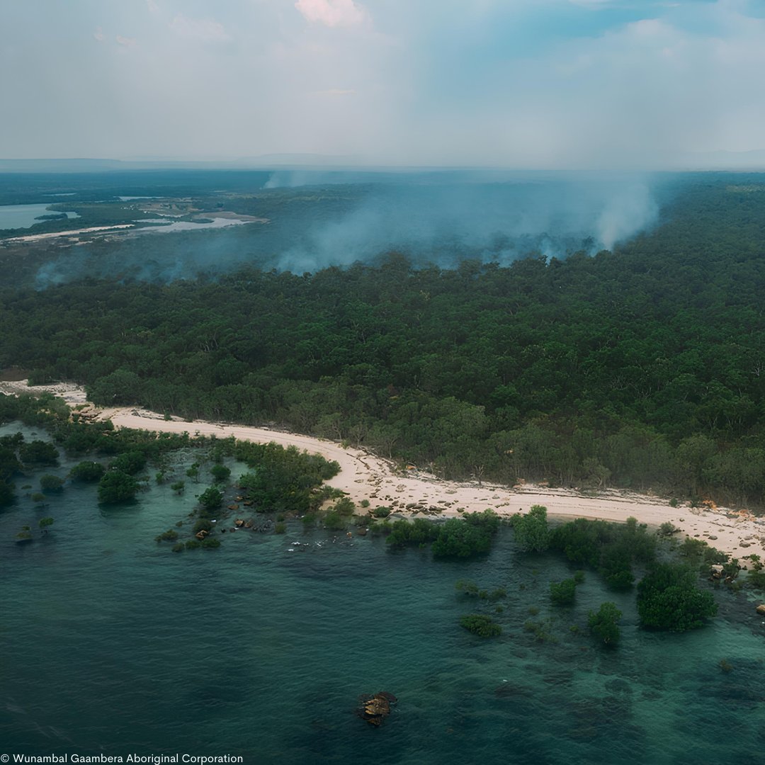 WWF_Australia's tweet photo. &amp; strengthens community resilience.
Part of our Climate, Nature &amp; Communities work. Learn more ⤵️ https://t.co/gEx94qc7py
#RightWayFire #CaringForCountry #IndigenousLed #WWFAustralia #IndigenousKnowledge #Climate https://t.co/4tAbcB43WN