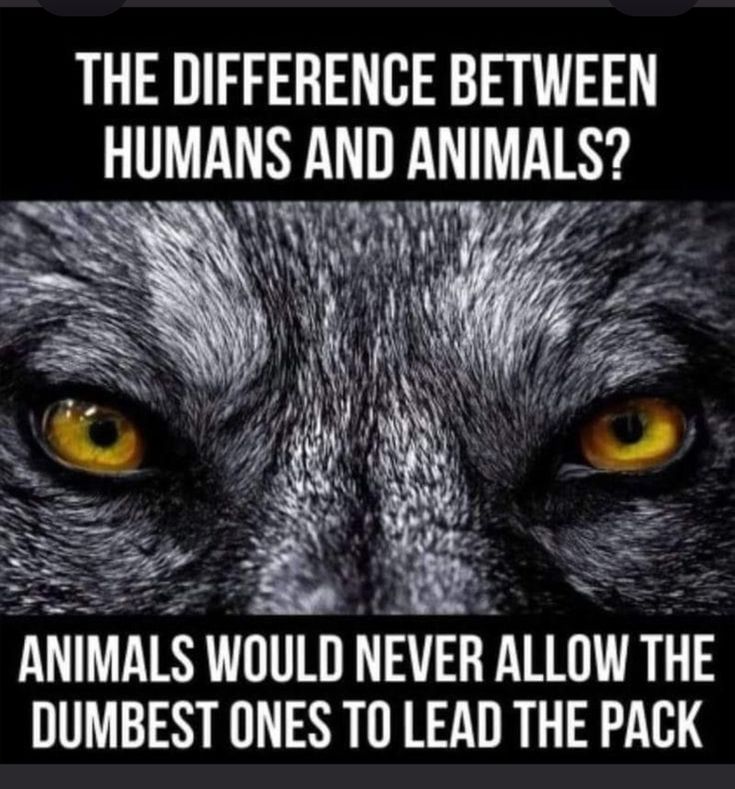 ThinkerView (@thinker_view) on Twitter photo 