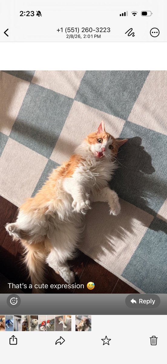 Andrew Botticelli tweet media