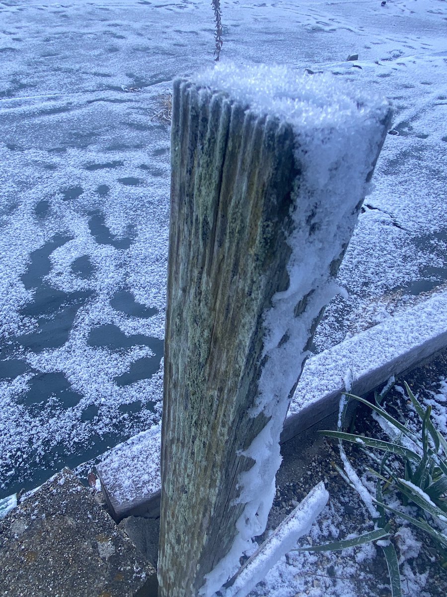 chiilichen's tweet image. おはよお〜

昨日降った雪が残っててかわいい☺️手と足がひえひえでうまく撮れなかったけど見て🧊

今日も気をつけて生きよう

#おはよう地衣類