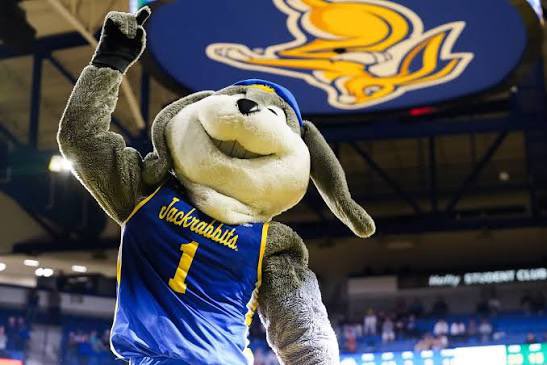 Spencer Chase tweet media