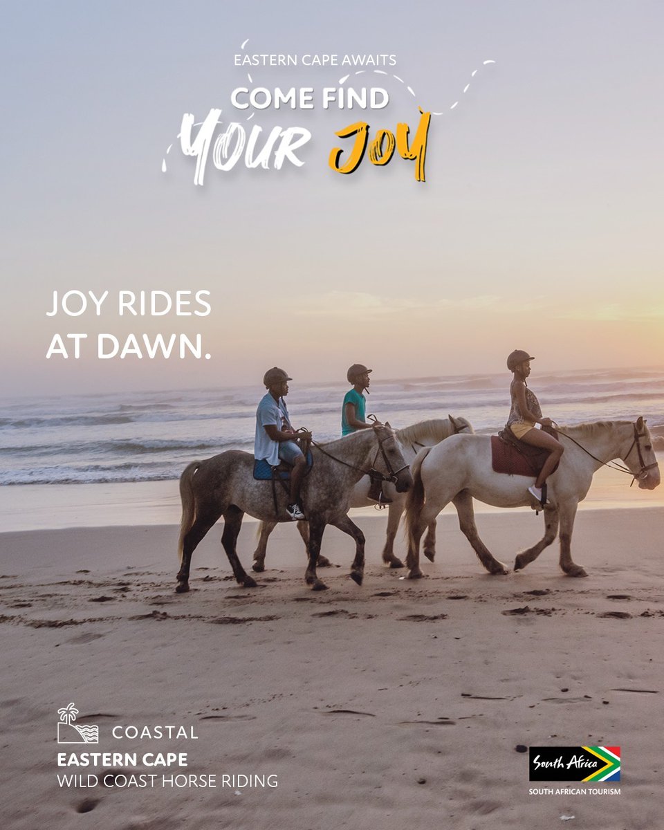 南アフリカ観光局 tweet media