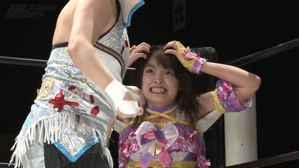 Alfie (アルフィ) #蓮燦 #SaisNest #あーちゃんまる