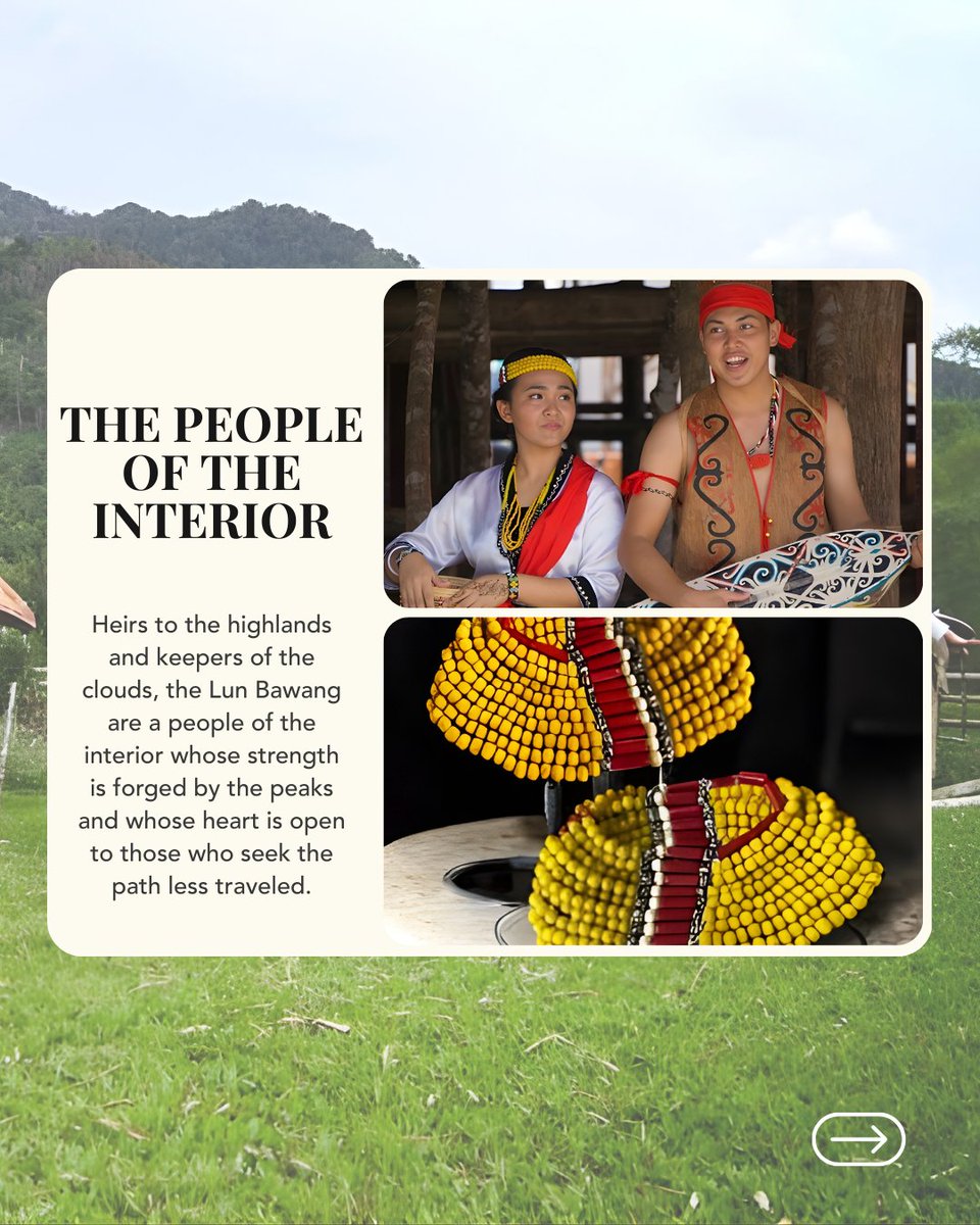 It is a slow, rhythmic conversation between the Lun Bawang and the mountains, a secret held in the steam of the boiling vats and the quiet of the peaks.

Fly to the heights where time is measured in tradition. 

Book your highland story at airborneo.com

#AirBorneo