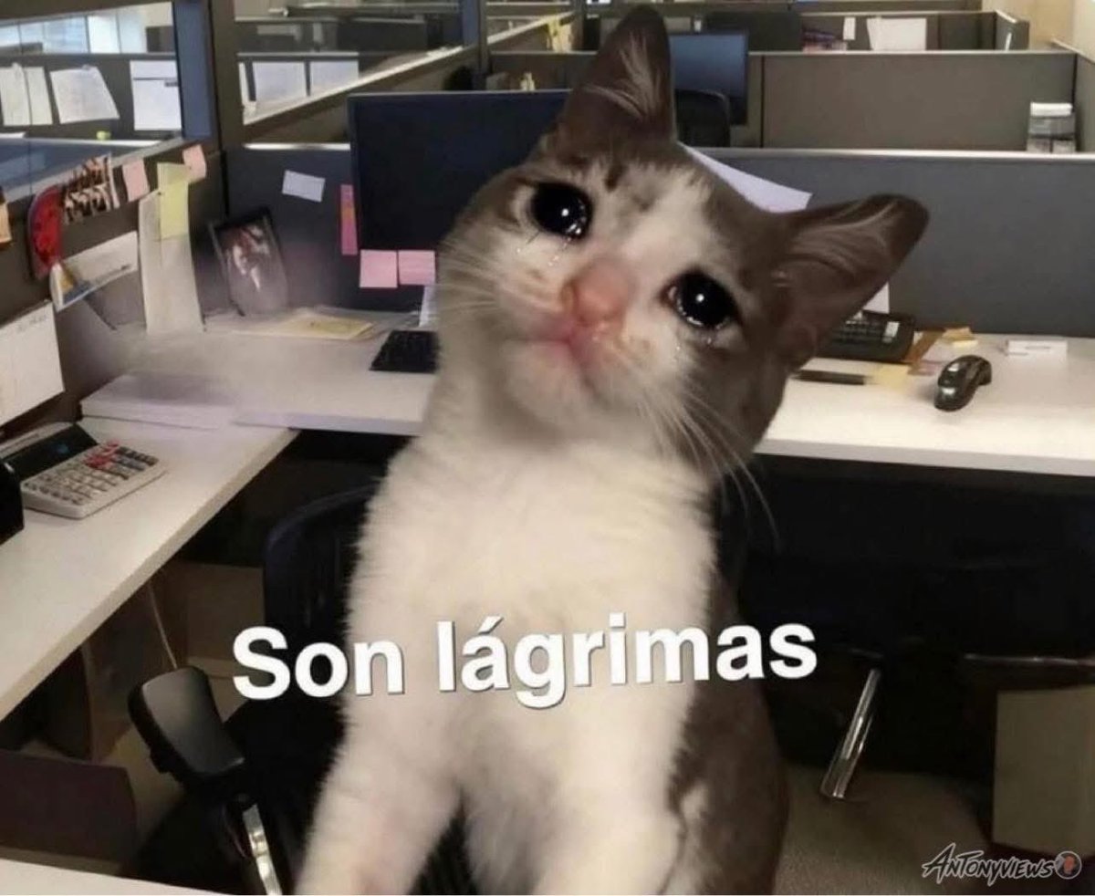 Cristia83998732's tweet image. X: hasta te brillan los ojos al ver a Lady Gaga cantando y bailando salsa 🥺

Yo:

#SuperBowlLX