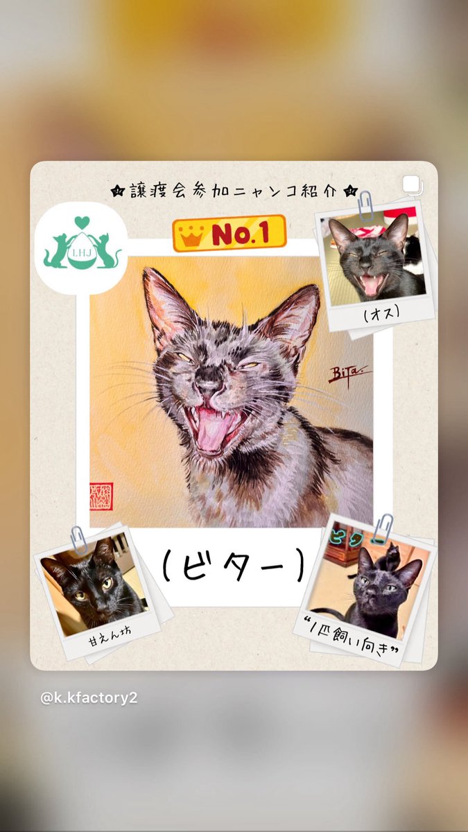 ペット似顔絵】 今回は【譲渡会】に参加するネコちゃんの似顔絵製作