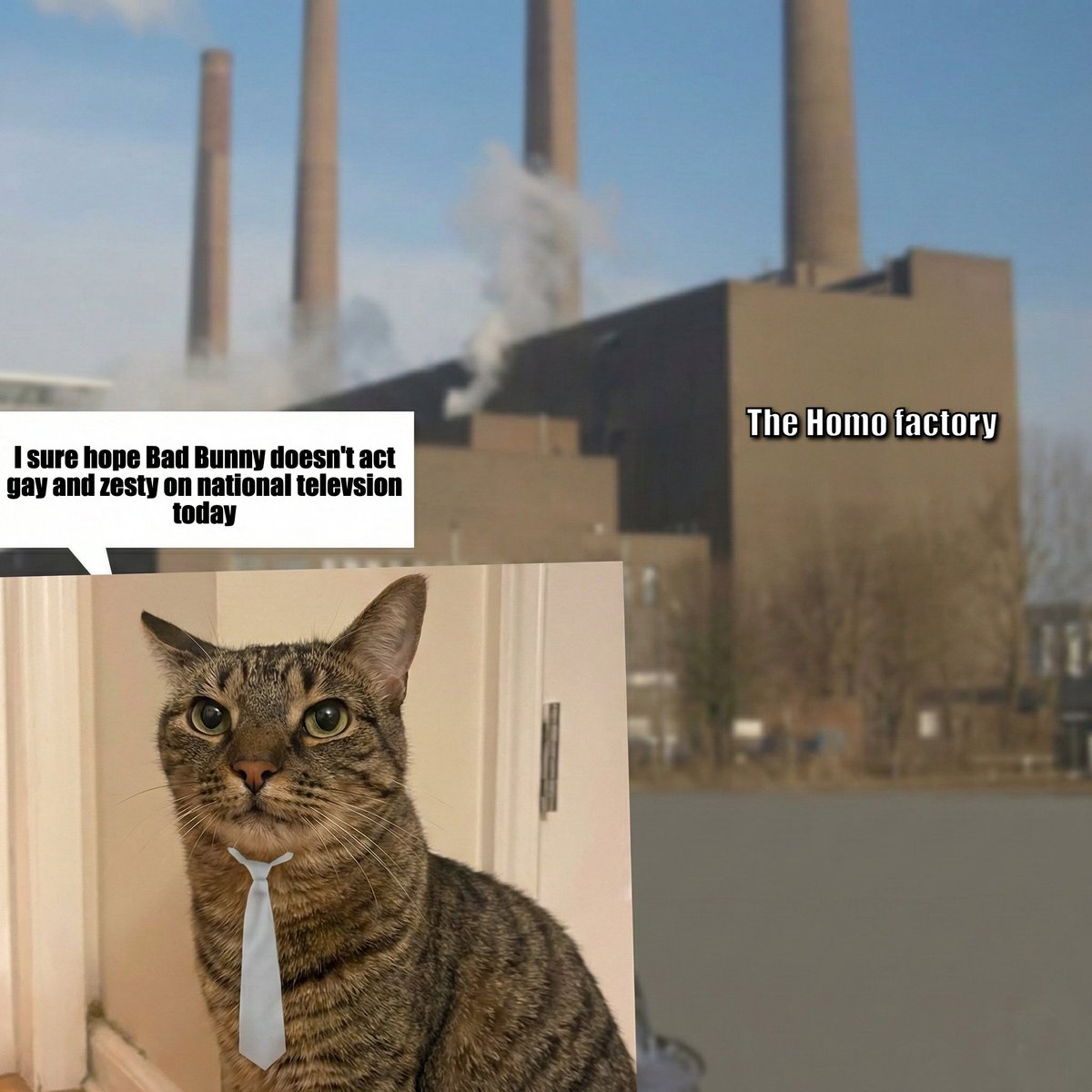 factory cat tweet media