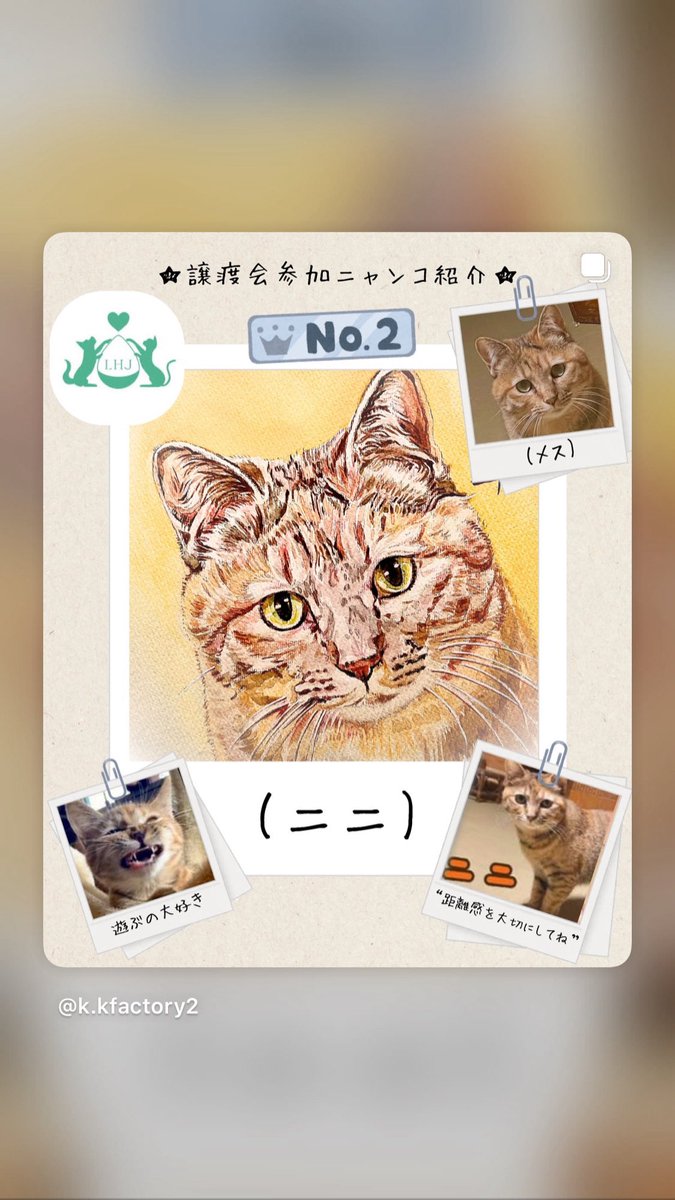 ペット似顔絵】 今回は【譲渡会】に参加するネコちゃんの似顔絵製作