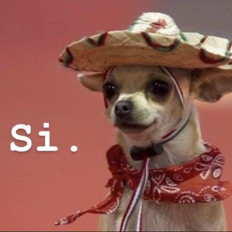 Ramp Capital tweet media