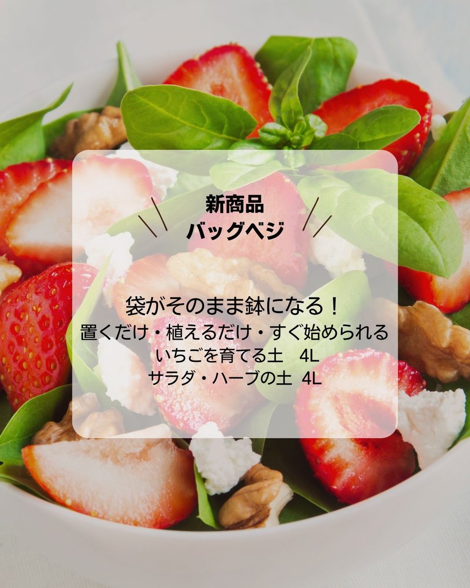 setogaharakaen's tweet photo. 新商品
バッグベジ
🍓 バッグベジ いちごを育てる土
🥗 サラダ・ハーブの土
袋のまま置いて、すぐ始められる家庭菜園。
室内栽培も想定した土設計で、におい・コバエを抑制。
植えた日や品種を書けるメモ欄付きです！
お子さまと一緒の栽培にもおすすめです🍓

🔗https://t.co/J5uRLWFmjy https://t.co/2lJGLx8e6J