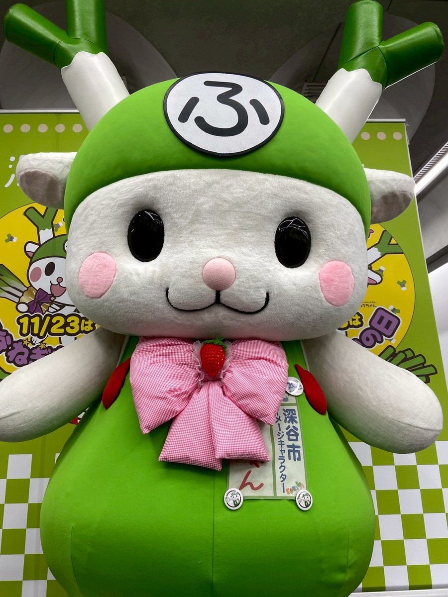 ふっかちゃん (@fukkachan) / Posts / X