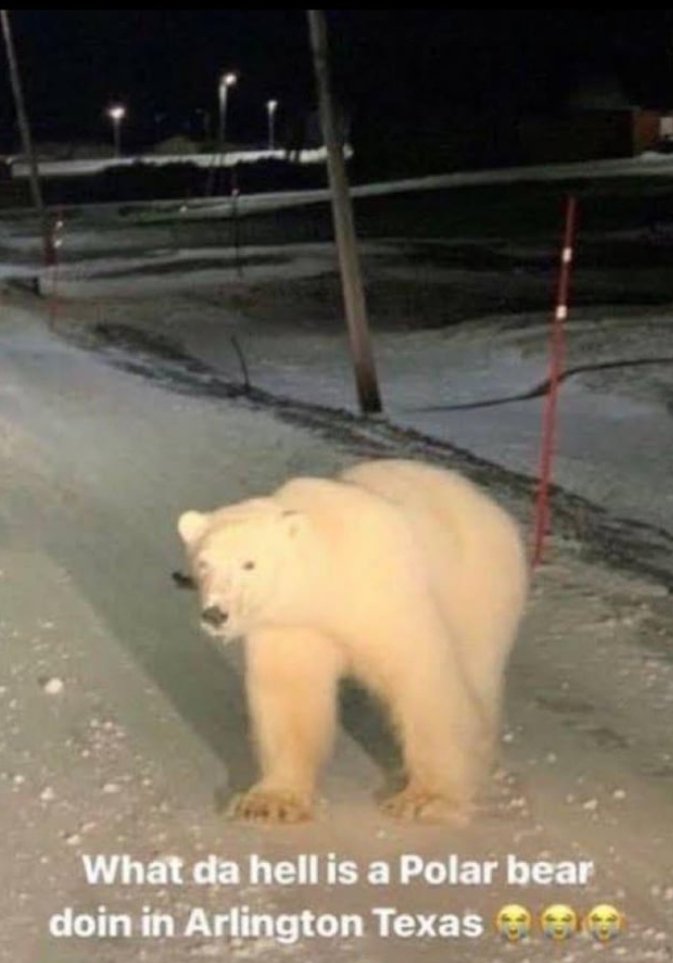 💥CasualStrikes💥 tweet media