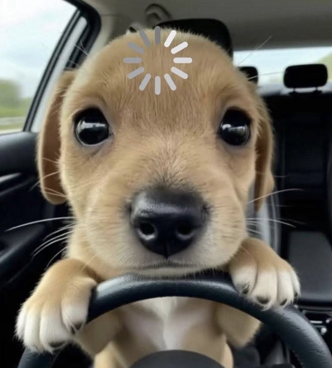 TuExdeVerdad's tweet image. Yo tratando de entender lo que cantaba Bad Bunny en el Show de Medio Tiempo del #SuperBowl