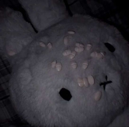 🐇Tiff🐇 || NSFW TWT tweet media