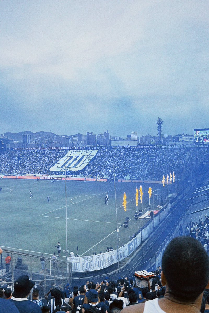 𝕮𝖔𝖒𝖔 𝖙𝖔𝖉𝖔𝖘 𝖑𝖔𝖘 𝖆ñ𝖔𝖘!