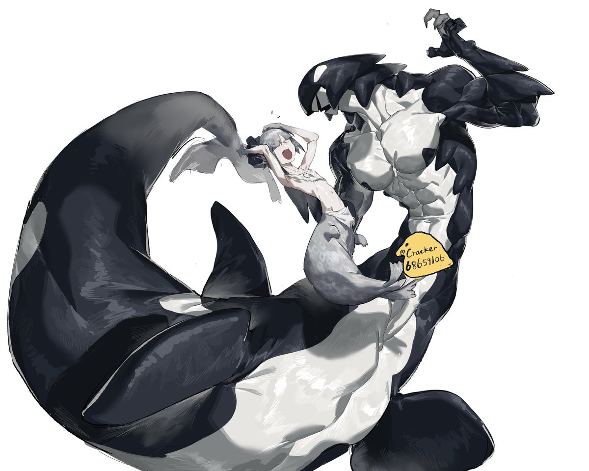 bomb💣 tweet media