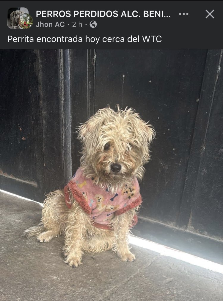 Tiene suetercito, ojalá la estén buscando