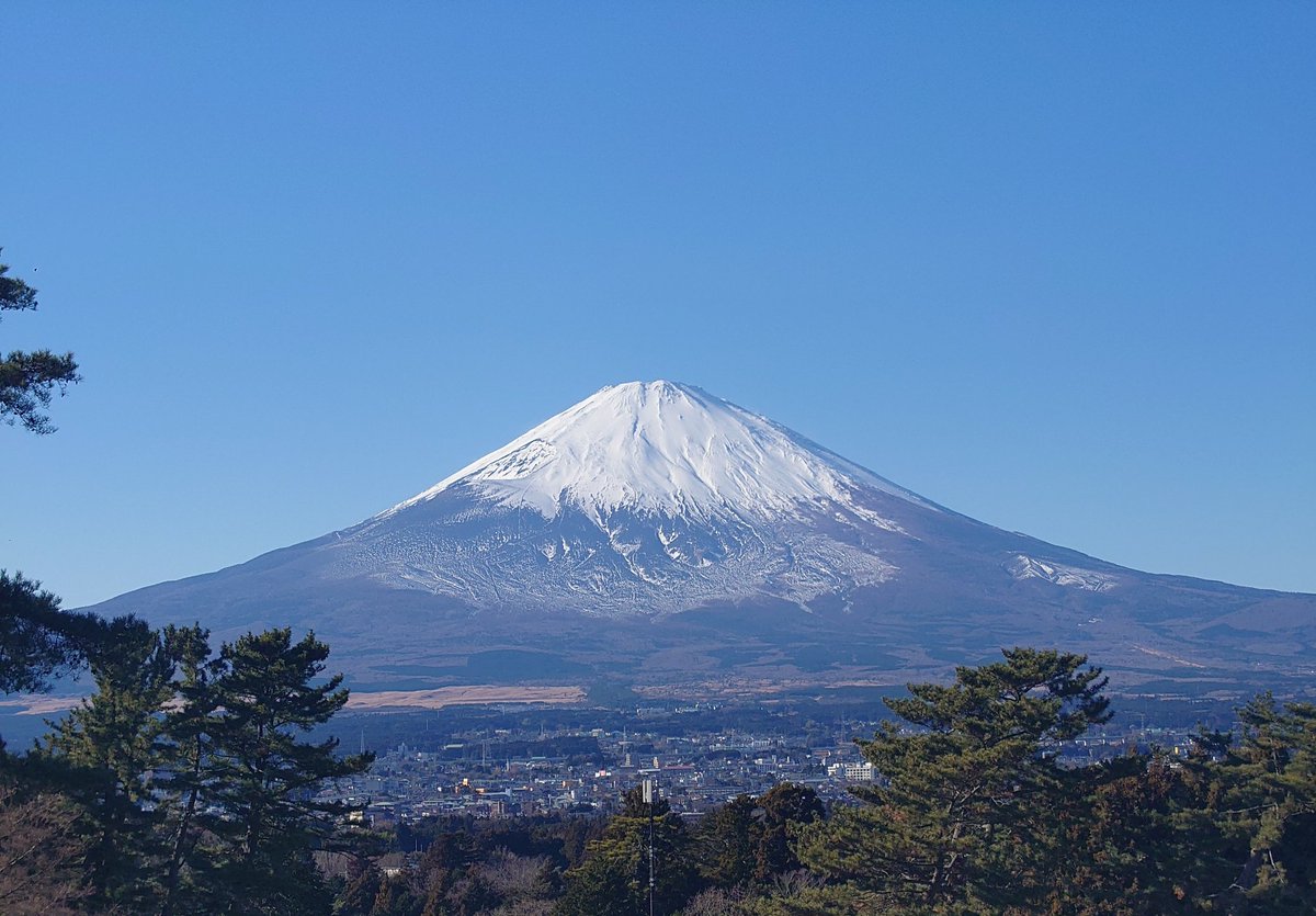 若林ようへい tweet media