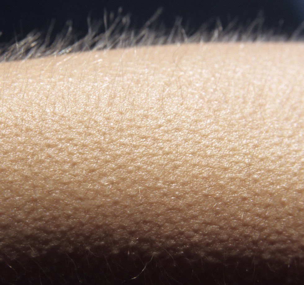 𝒮𝒽𝒶𝓇🪄 tweet media