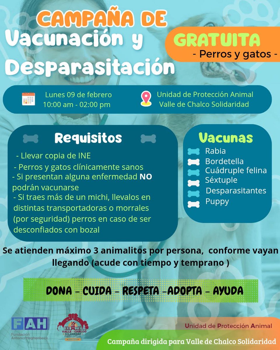 Proyecto Six Pack tweet media