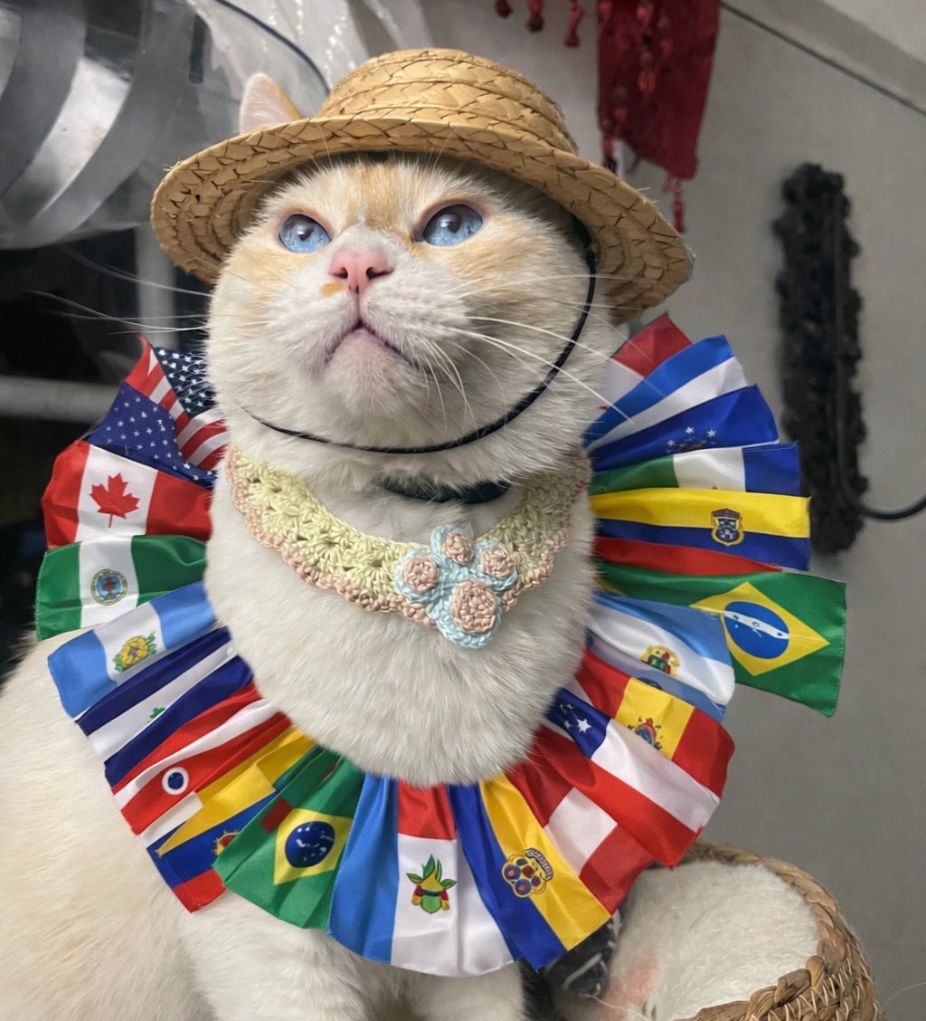 🌸Koshka Morrison Diesel💜 tweet media