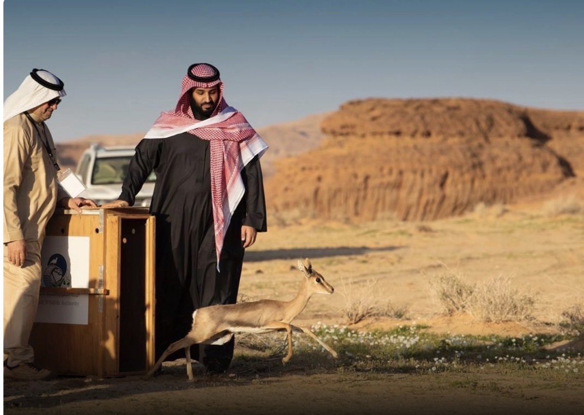 ياهني هالغزال الي مر من جنبك 💚