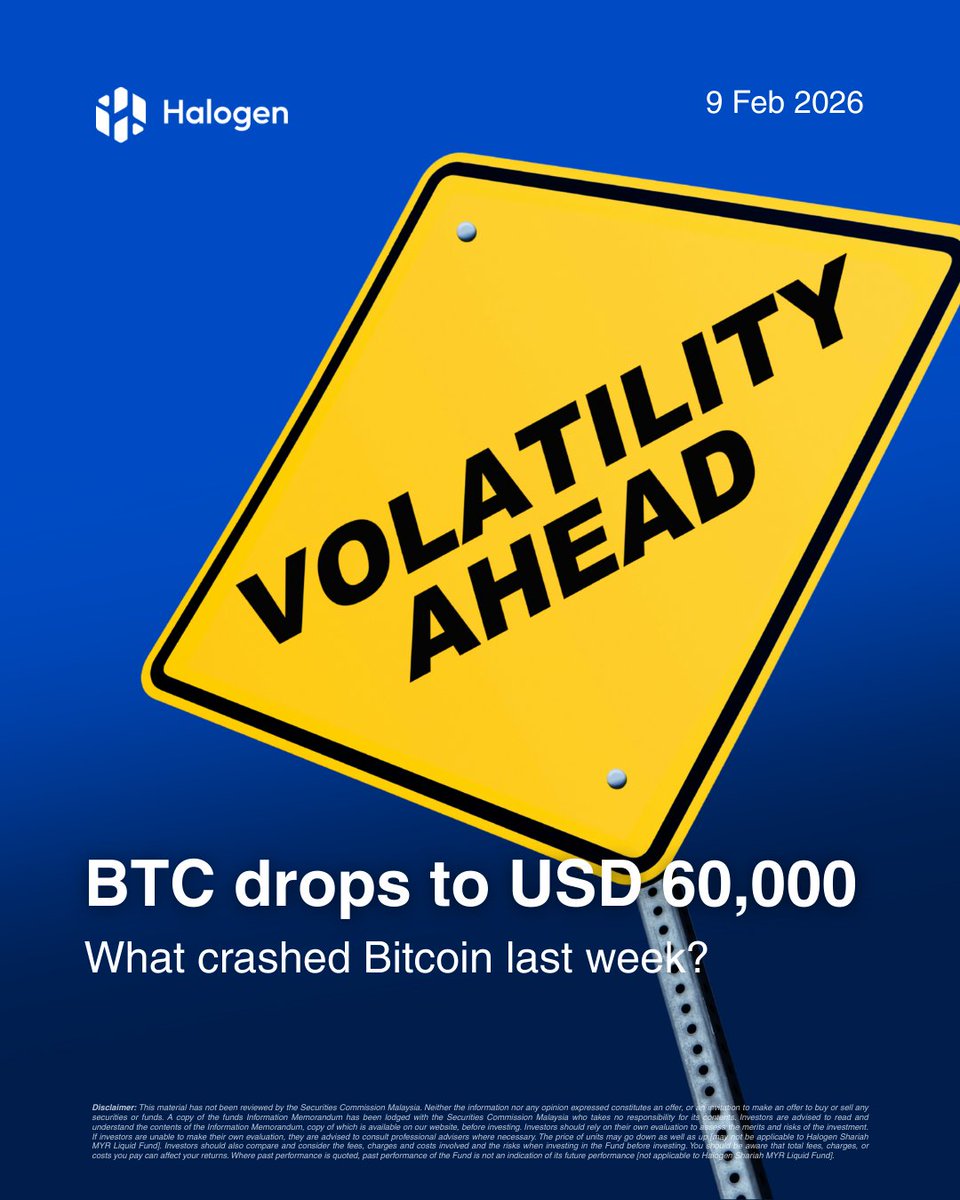 Halogen Capital tweet media