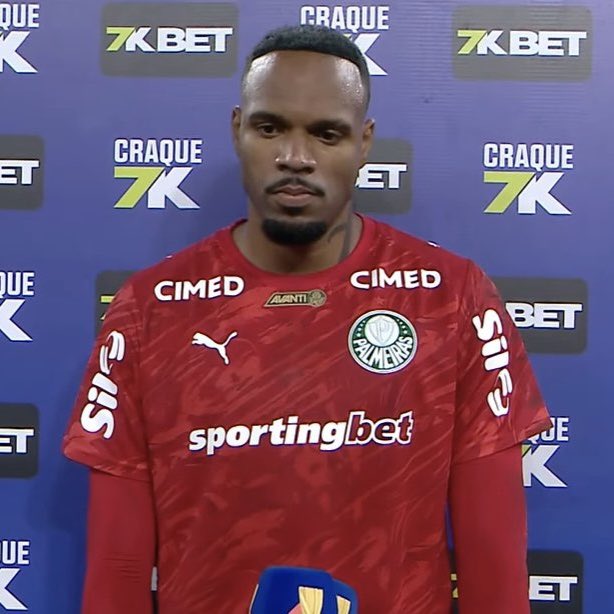 Palmeiras da Depressão tweet media