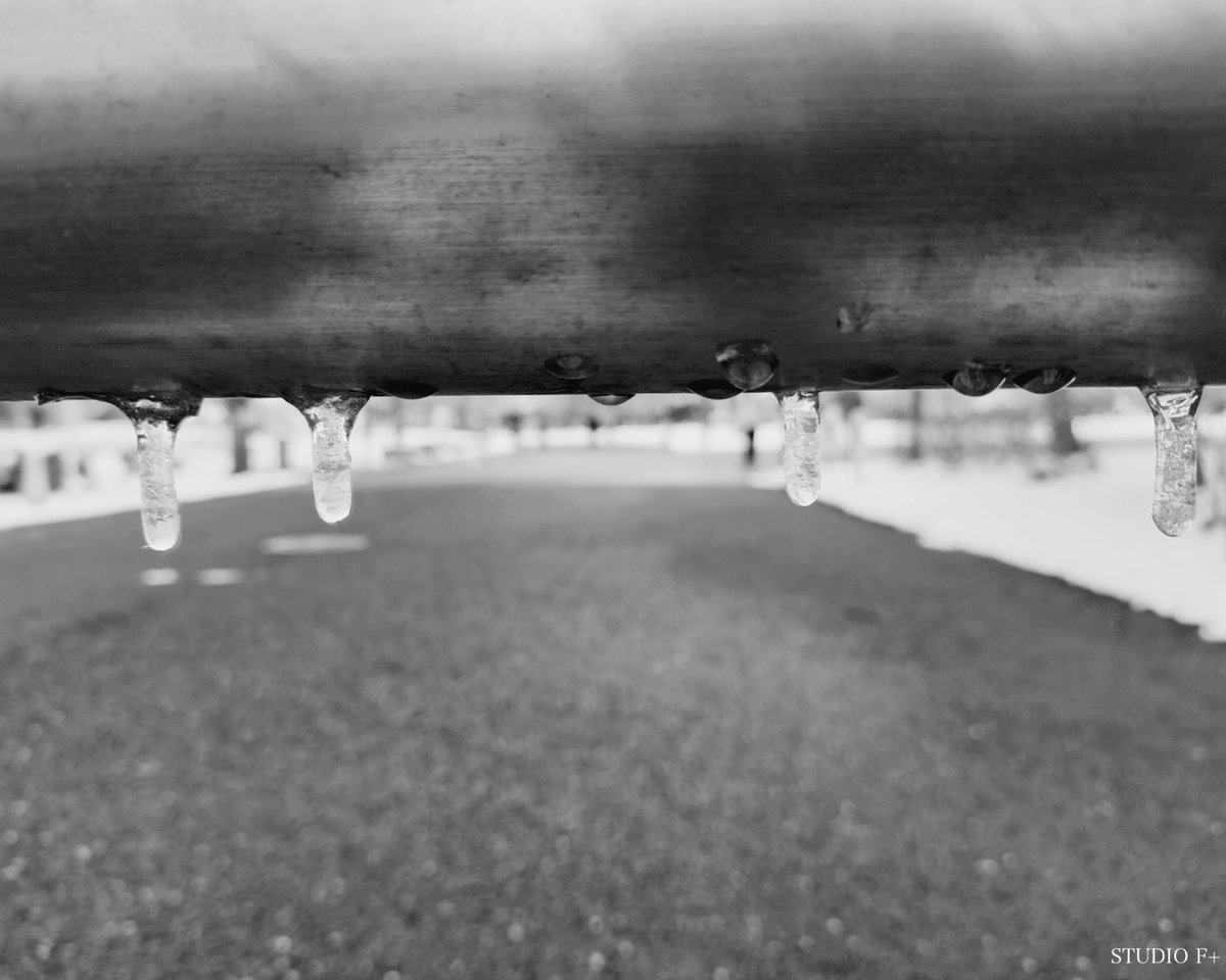 STUDIOFPLUS's tweet image. 中道改革連合への支援
誠にありがとうございました

選挙結果を見て
政治を監視していかなくては
いけない

今回、高市自民に投票し
自民党を支持した多くの人々が
いかに間違った選択をしたのかを
今後目の当たりにすることに
なるだろうと感じてます

#中道支持 #高市自民反対 #studiofplus