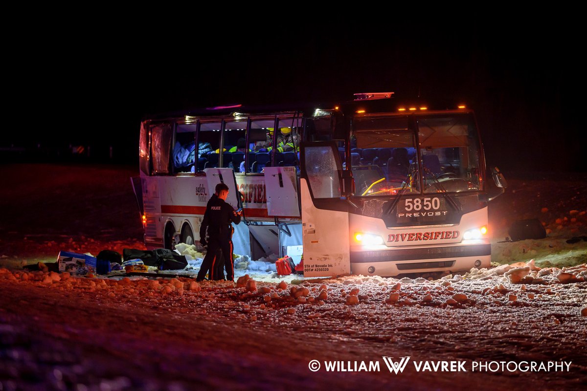 William Vavrek tweet media