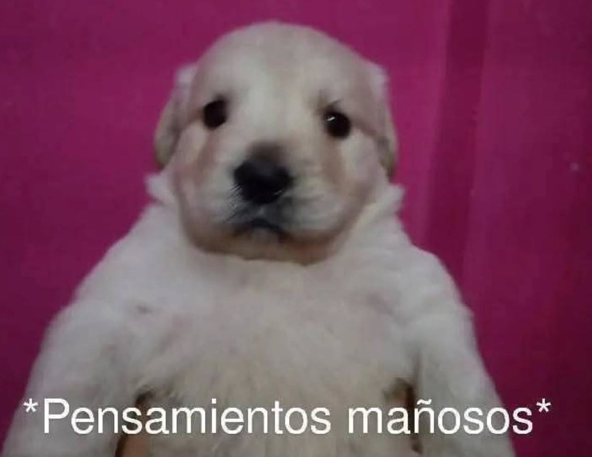 conoloracigarro's tweet image. 