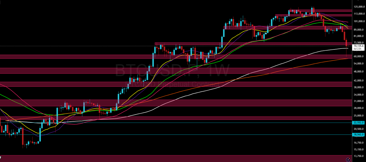 ₿TC Ninja ⚡ tweet media
