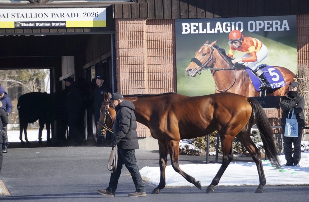 bellagio4144's tweet photo. ベラジオオペラ

社台スタリオン
種牡馬展示会

カッコいいぞ！オペラ‼️

ハッピーオーナズクラブの会田さんに送ってもらった
会田さん！
いつもありがとう😊 https://t.co/h3sOVEEUDy