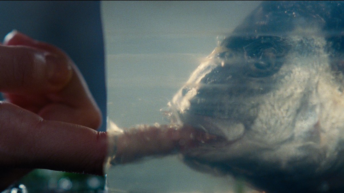 폭풍의 언덕 스틸컷 다 왜이러냐 정말(n)