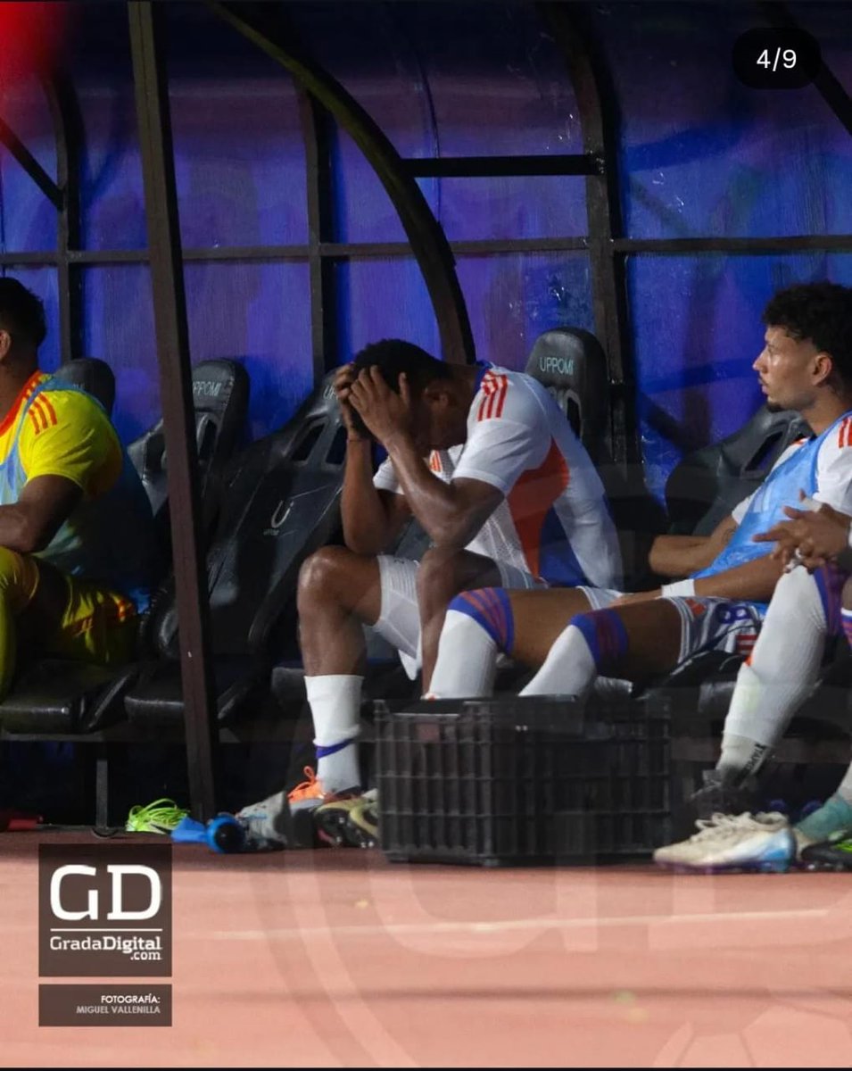 Mago🪄🎩            ///           Bruja🤮