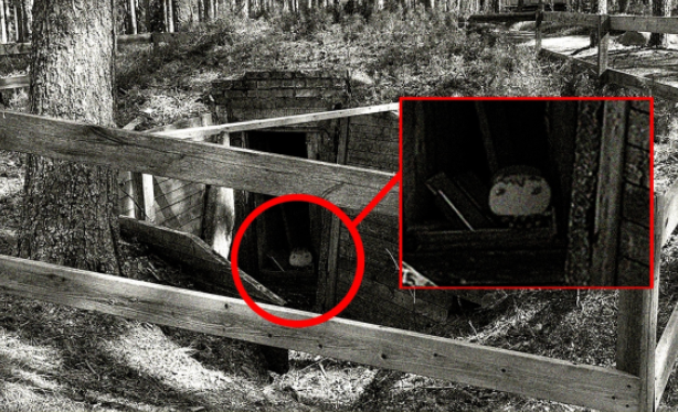 maspolt. tweet media