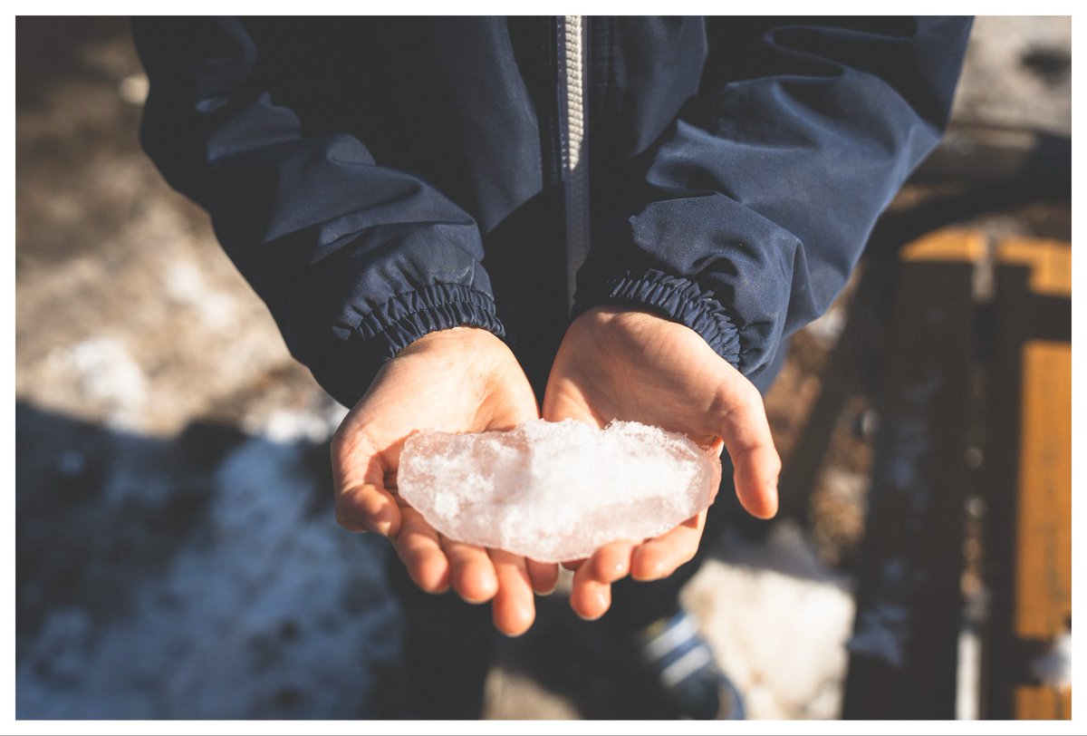 むーちゃん (@muuchann) / Posts / X