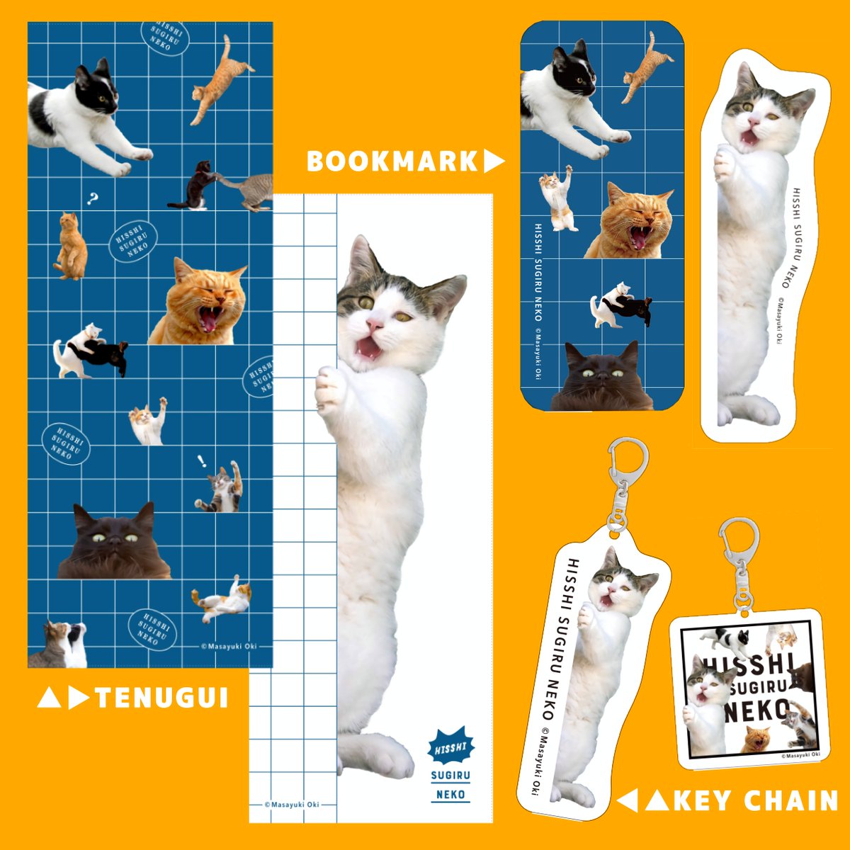 猫の日の贈り物に『必死すぎるネコ公式グッズ』がオススメです😺🎁 JR