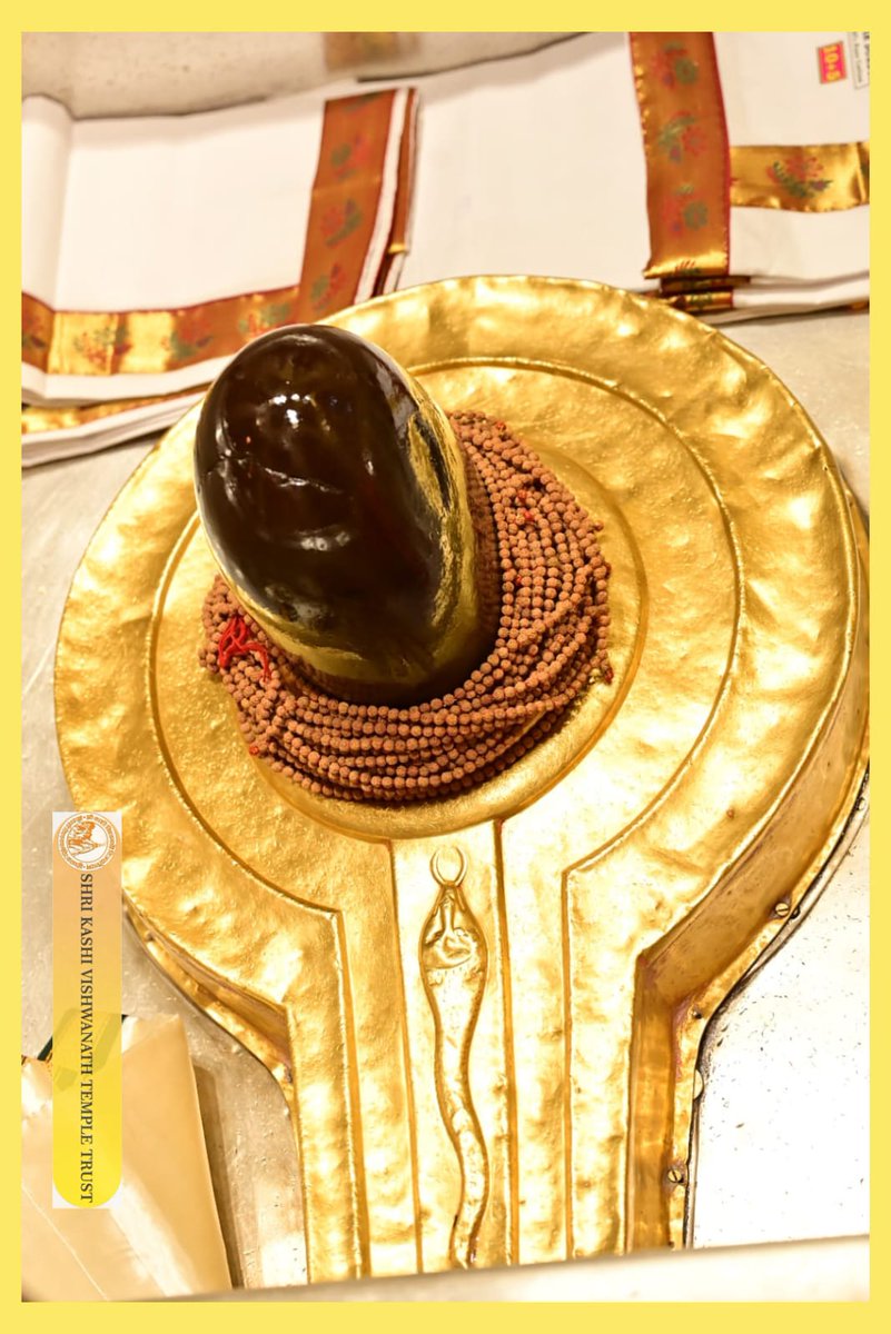 ShriVishwanath's tweet photo. श्री काशी विश्वनाथ जी की मंगला आरती I
#kashivishwanath #kashi #sanatandharma #banaras https://t.co/dDZvQlLHZi