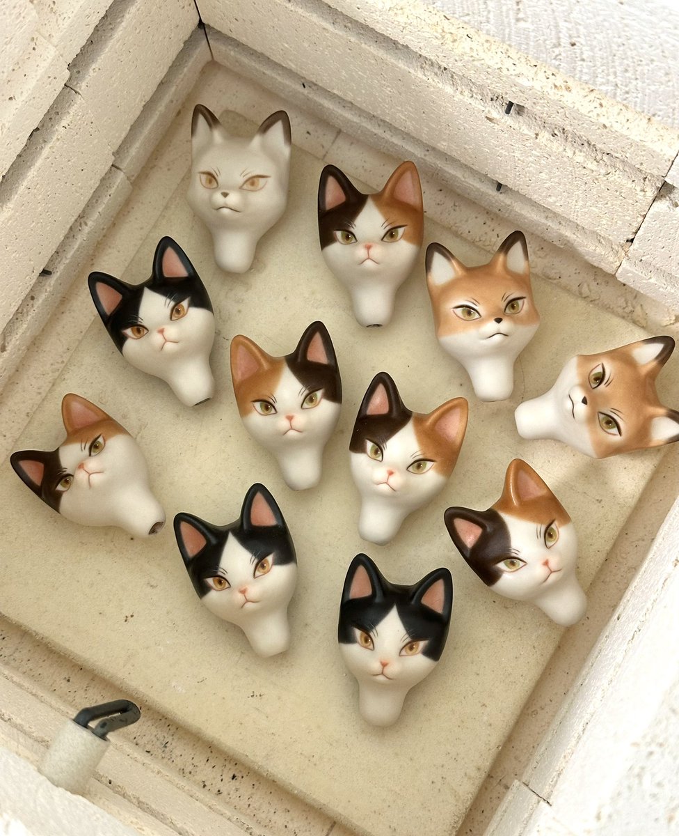 🍄cocoroico🍄 tweet media