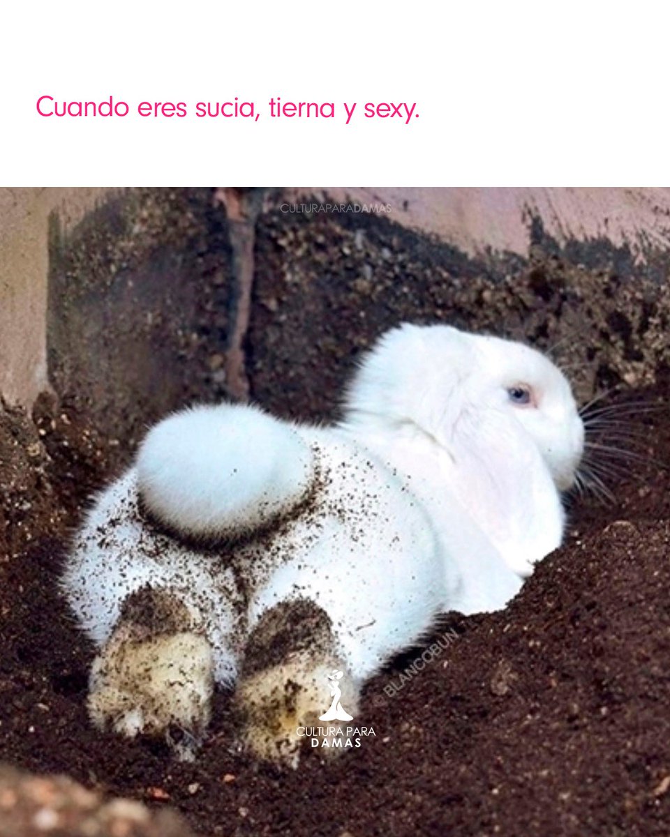 cultuparadamas's tweet photo. https://t.co/4gZyYiKg3W