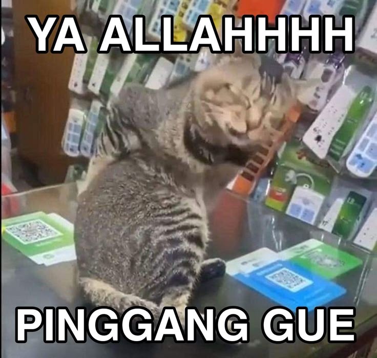 wilonaaa's tweet image. 