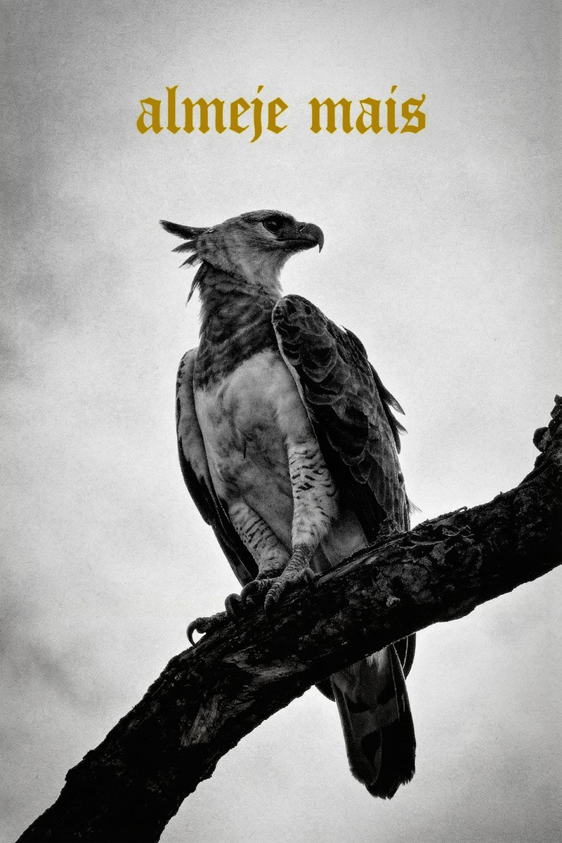 oncasdesol's tweet image. Almeje mais