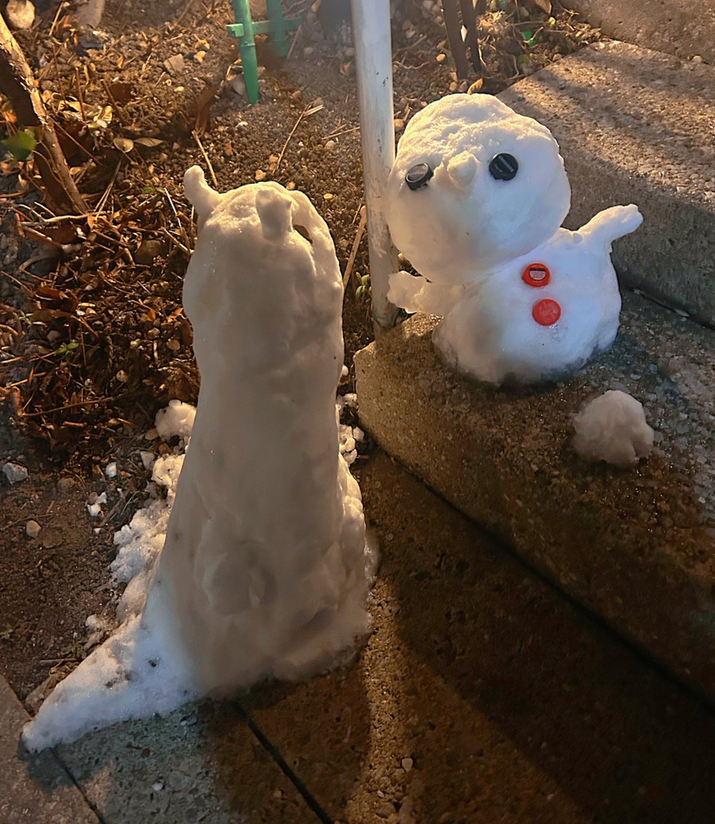 近所にこんな可愛い雪だるまがあったよ🐶
誰が作ったのか分からないけどセンスありすぎる⛄️
かわいい♡