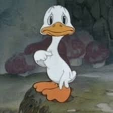 LaTayMexicana's tweet image. Bad Bunny: tú también deberías creer en ti

Yo: