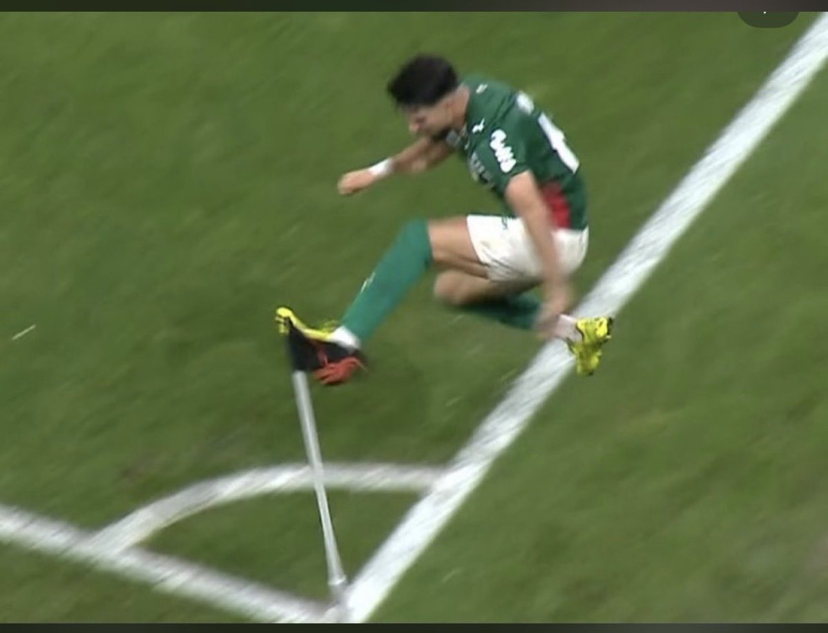 powercoding64's tweet image. Mijamos no lixão