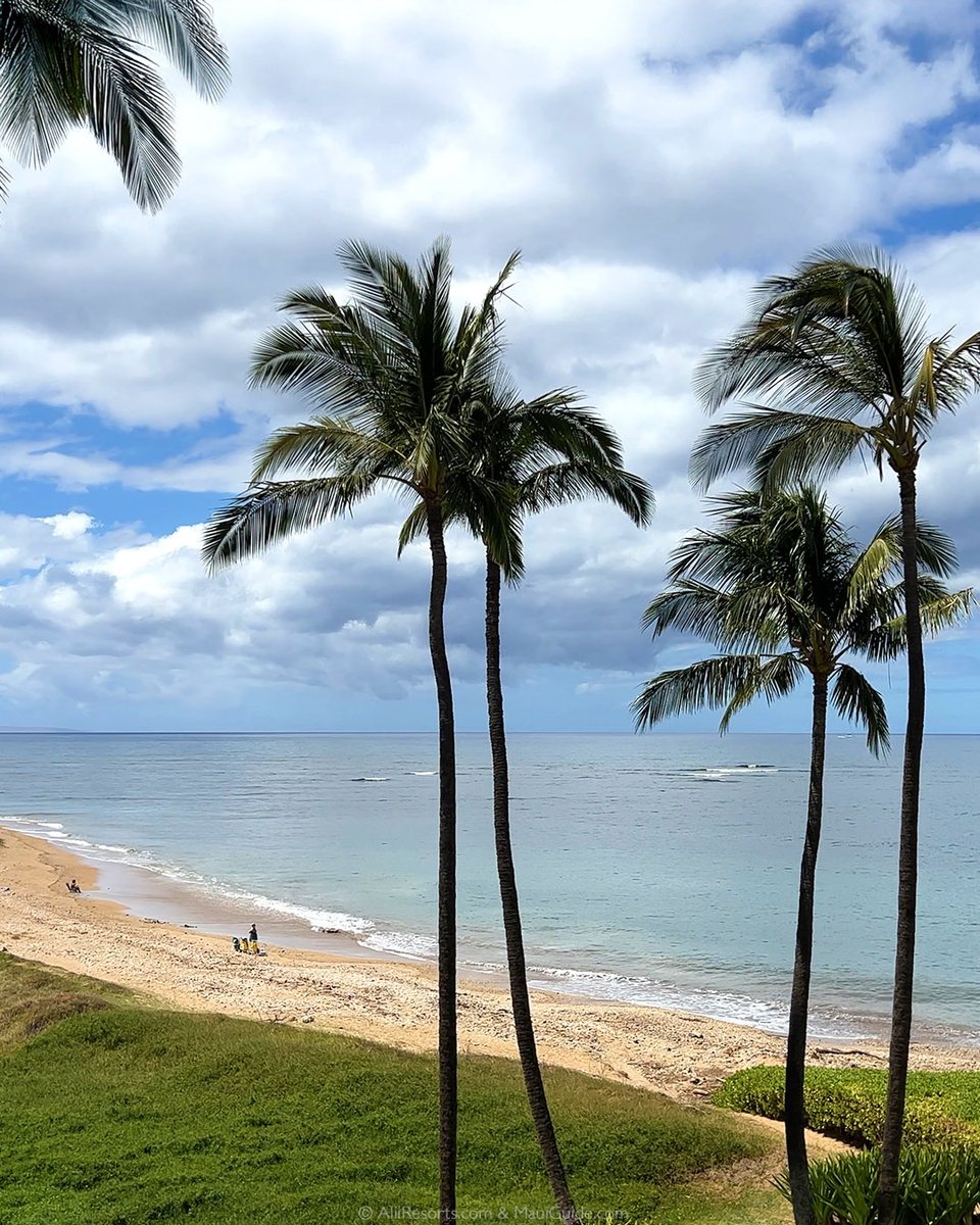 Menehune Shores 423 is a 2-bedroom, 2-bath ocean-view condo that sets you up for easy Maui days, start with coffee on your private lanai with Pacific views, then head out to the oceanfront pool or straight to Kalepolepo Beach Park.

Learn More: aliiresorts.com/vrp/unit/MENEH…