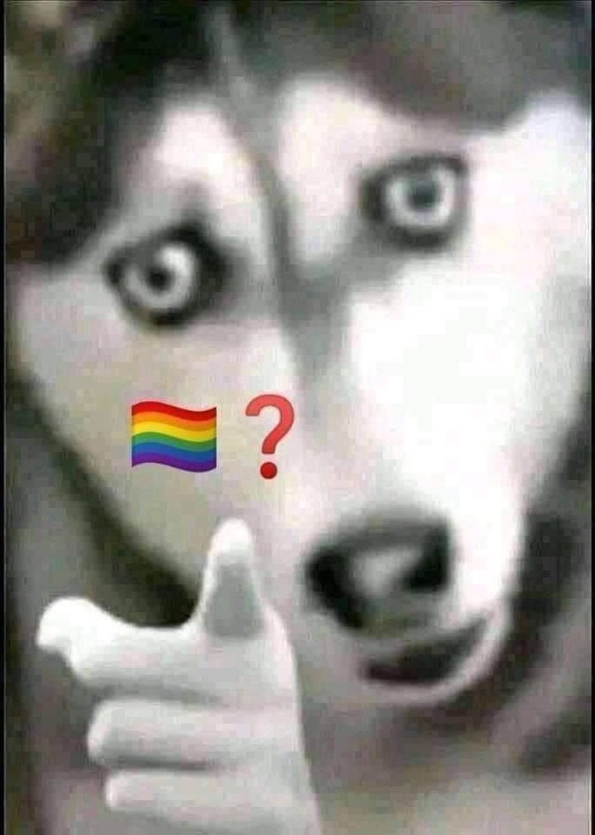 <a href="/RedskinsArsenal/">RedskinsArsenal</a> <a href="/JJWatt/">JJ Watt</a> about 200 women out there and you’re focusing on men