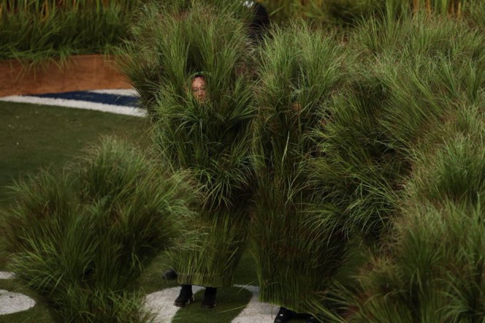 Bebé de luz tweet media