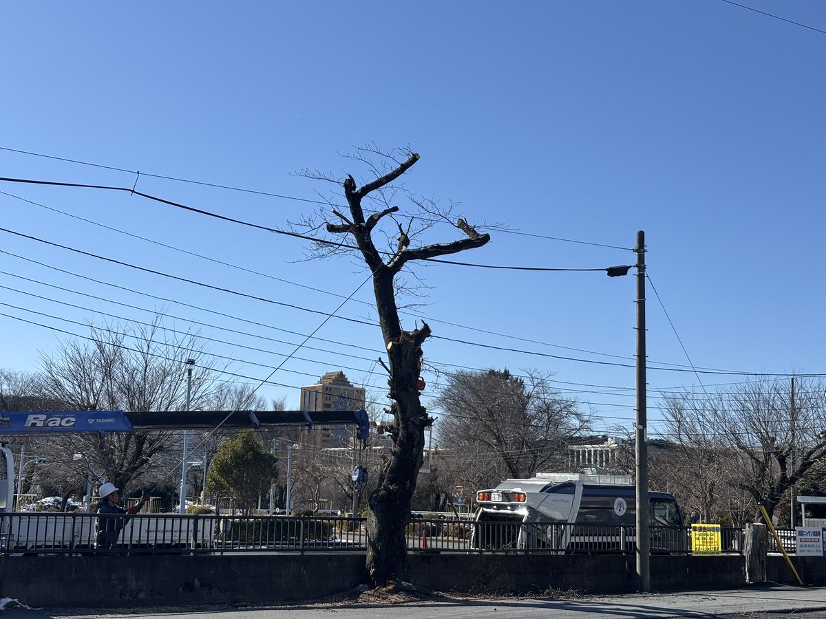 hanno_ds's tweet photo. 昨日とは一転して良い天気になっています。本日は定休日を利用して、道路脇の樹木の伐採を行なっています。 https://t.co/nn0sXzTrCJ
